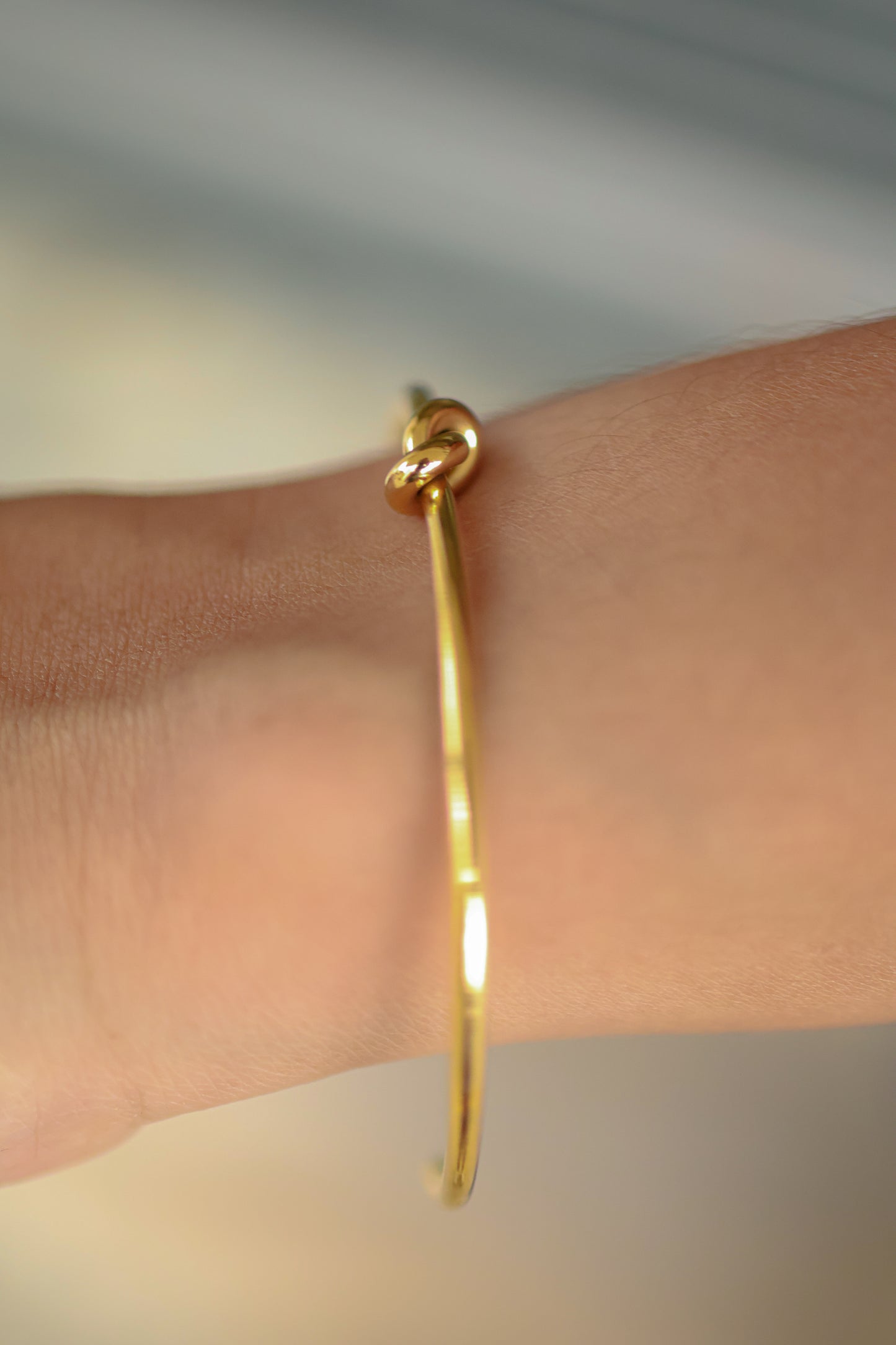 Diane Bangle