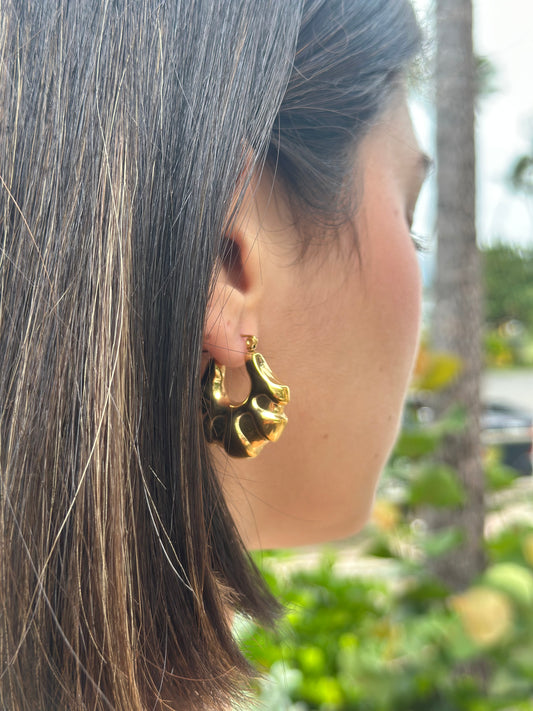 Dana earring